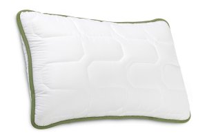 (obrázek pro) Polštář Dormeo Green Tea Classic 50x70