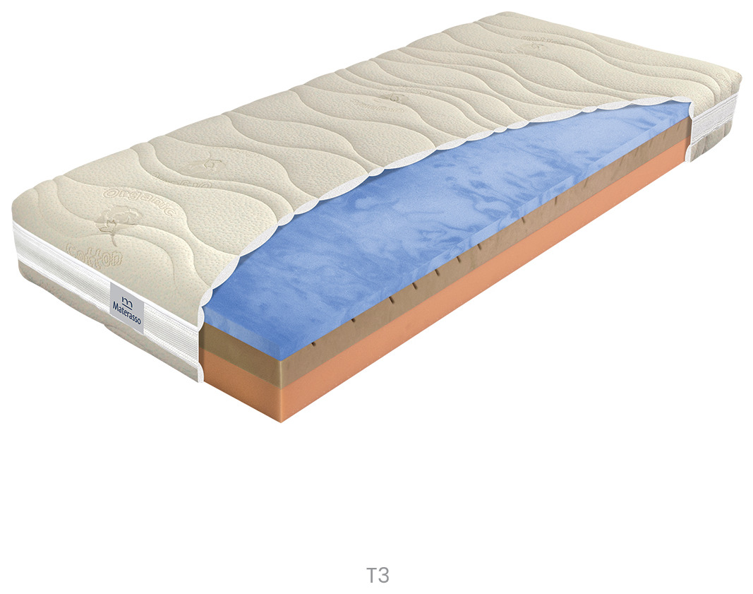 (image for) Biogreen Stretch T3 120x220